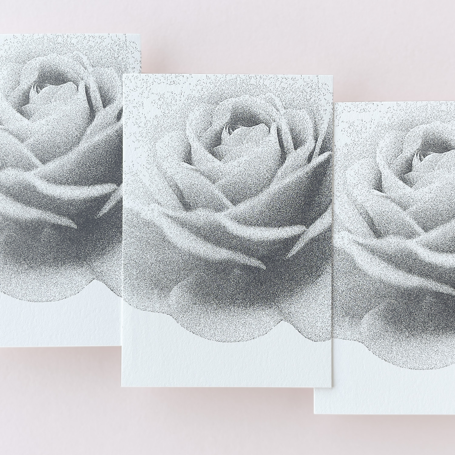 ファクトリーマース様、薔薇の活版印刷ポストカード